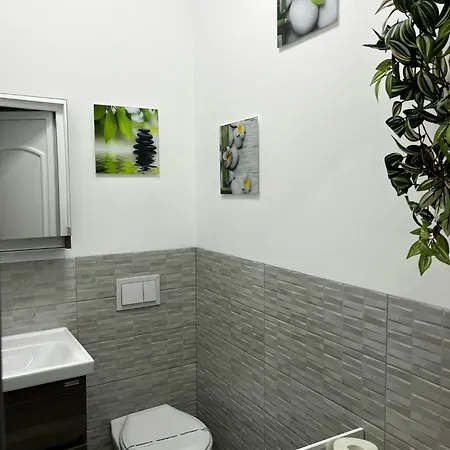 Apartment Pacha Timisoara