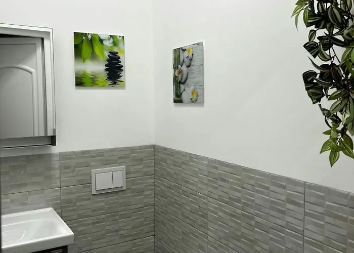 Apartment Pacha Timişoara